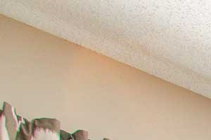 Bright Bedroom - Waterford Landing